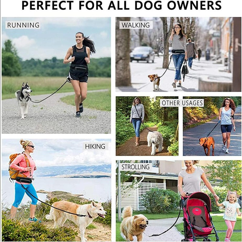 Hands Free Dog Leash Pet Walking And Training Belt With Shock Absorbing Bungee Leash For Up To 180lbs Large Dogs Phone Pocket And Water Bottle Holder